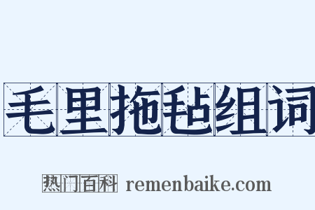 毛里拖毡组词是什么意思的图片